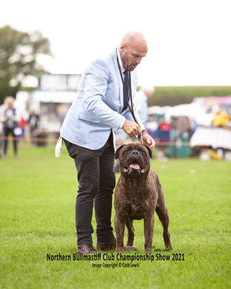 NBC Champ Show August 2021